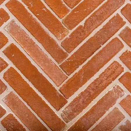 Vestal Domo Adults Only